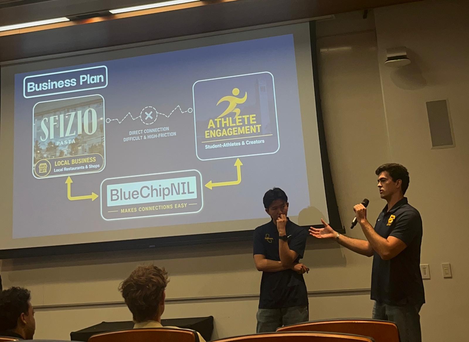 BlueChipNIL project